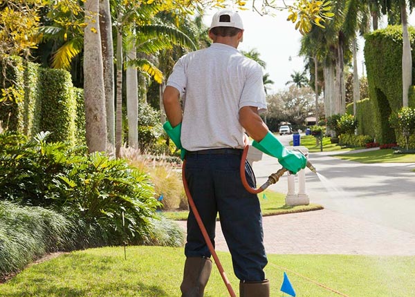 About Sherburn MN Pest Control
